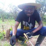 ‘Youths will find agriculture attractive with technology’