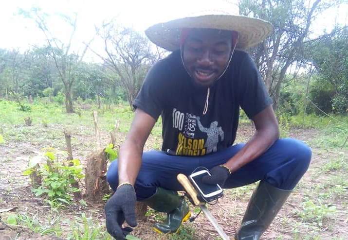 ‘Youths will find agriculture attractive with technology’