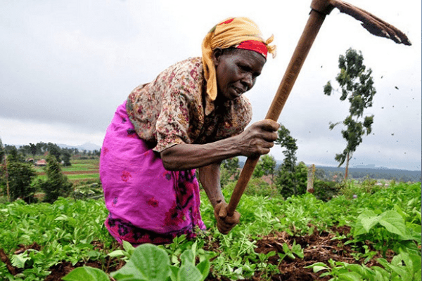 Late planting, armed banditry slow Agric growth by 1.79%