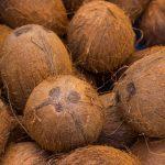 Strong FX potential seen in $4bn coconut market for Nigerian growers