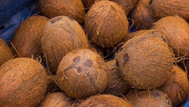 Strong FX potential seen in $4bn coconut market for Nigerian growers