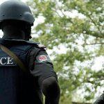 Police parade 33 suspected kidnappers, 2 cult members, others in Adamawa