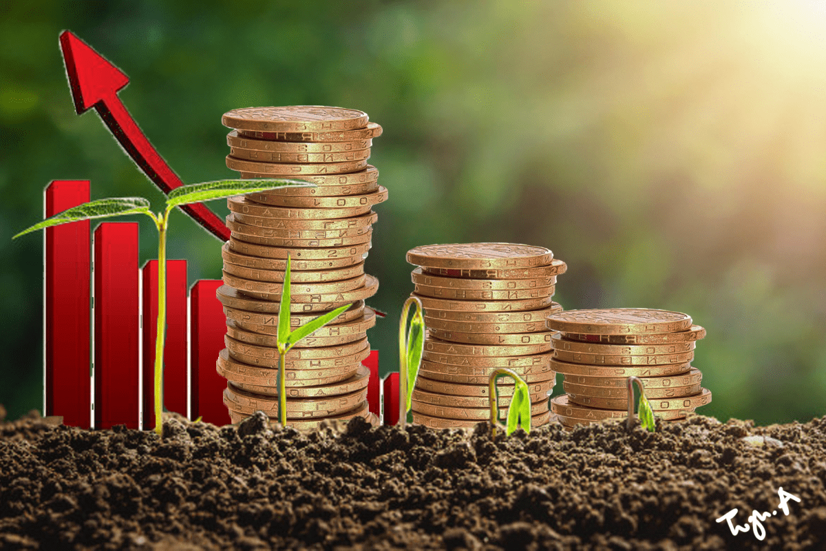 Why we are developing commodities trading ecosystem - SEC