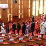 Economy: Return Nigeria to agriculture to cope with oil price - Senate urges