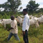 Debo Thomas: Giving glamour to Nigeria’s agriculture 