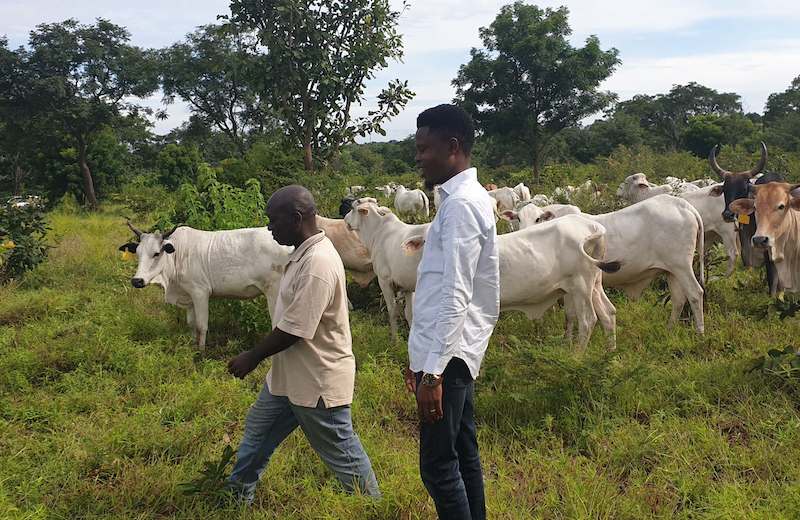 Debo Thomas: Giving glamour to Nigeria’s agriculture 