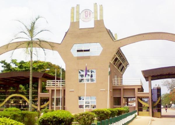 Nigerian universities sign MoU with RDIC for digitisation, storage, publication services
