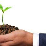 Enterprise development: Understanding efficiency and productivity (1)