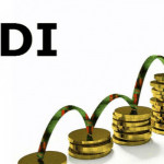 foriegn direct investment