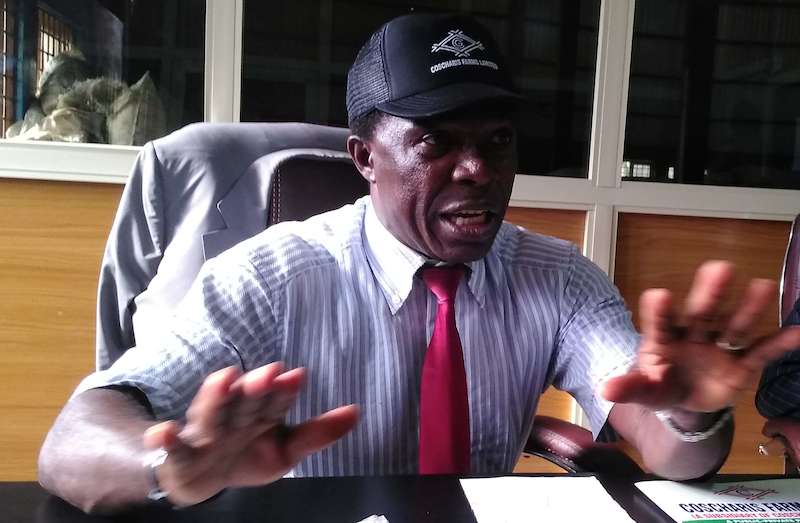 ‘We want to list Coscharis Farms on the Nigerian Stock Exchange in five years’