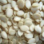 SeedMoney extends product range with melon seeds