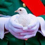 Updated: Nigeria @59: Sanwo-Olu, Obaseki, Ihedioha, others preach unity, tolerance