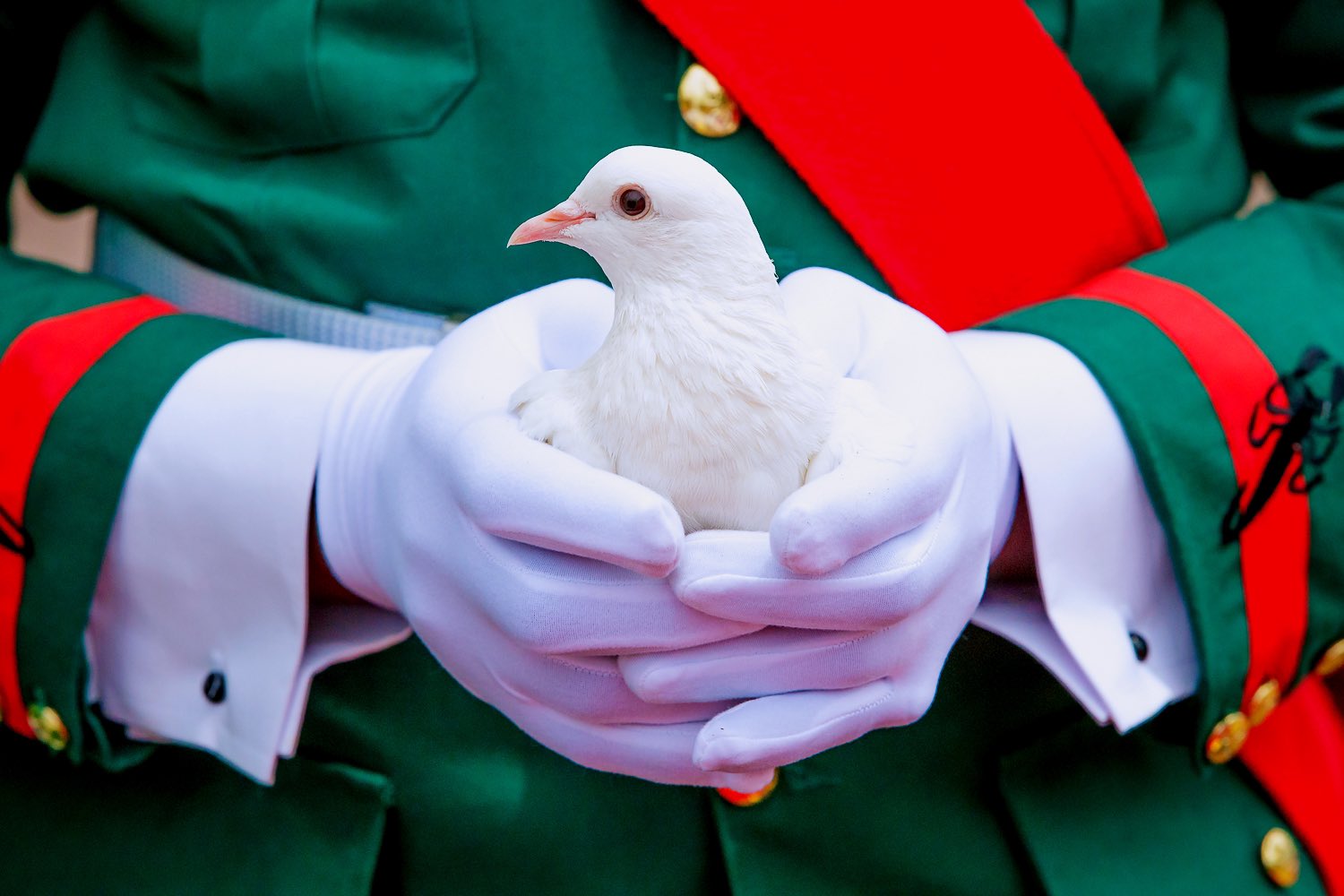 Updated: Nigeria @59: Sanwo-Olu, Obaseki, Ihedioha, others preach unity, tolerance