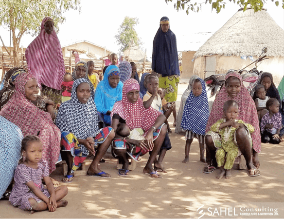 Nigerian Dairy Sector