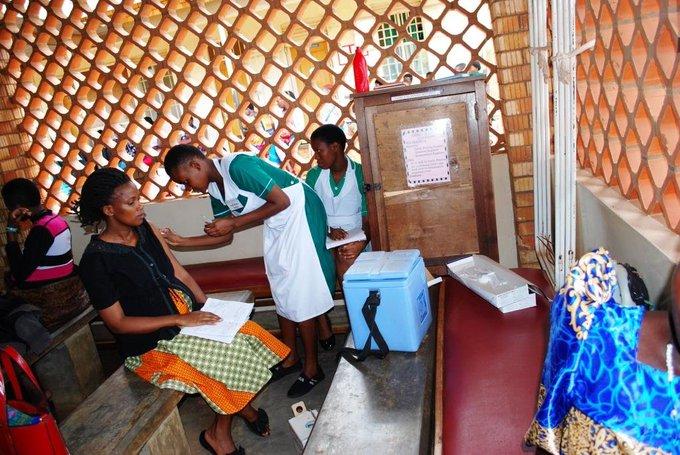 Rubella virus, gaps persist in Africa, 3 in 10 children still unprotected