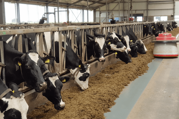 L&Z farms to embrace new investors as Sahel Capital mulls exit