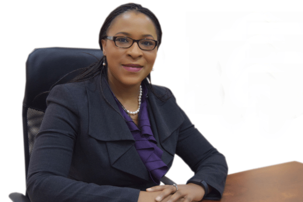 Global Commission to end energy poverty appoints AEDC's official as commissioner