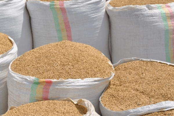 Boosting local rice appeal: opportunities in de-stoning