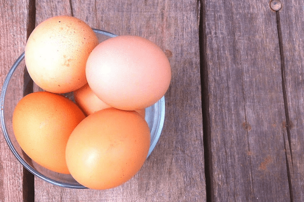 Farmers heave sigh of relief as prolonged egg glut ends