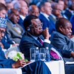 Nigeria, Africa must discontinue holding ‘undignified summits’ - Ex minister