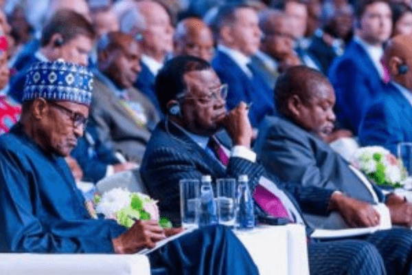 Nigeria, Africa must discontinue holding ‘undignified summits’ - Ex minister