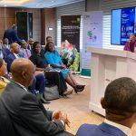 Nigeria to issue Jollof Bonds, road show set for Jan 2020