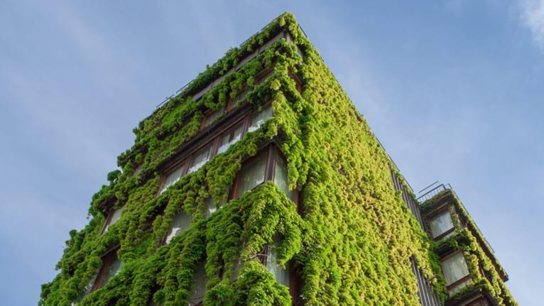 EDGE as green building certification: What buyers should know