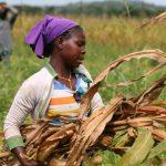 Nigeria does have a hunger problem