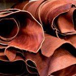 ‘Shoemakers aiding development of Osisioma’