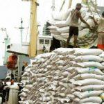 Vietnam lobby's APC to begin rice exportation to Nigeria as Oshiomhole rejects move