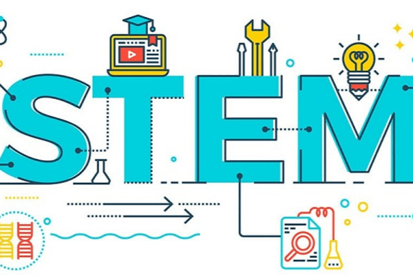 stem