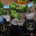 What the Twiga Foods Series B Financing means for Africa Venture Capital