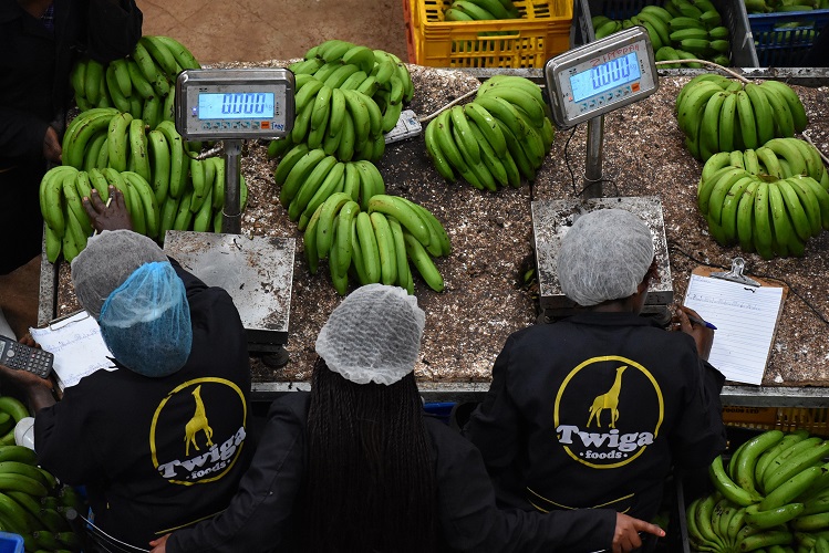 What the Twiga Foods Series B Financing means for Africa Venture Capital