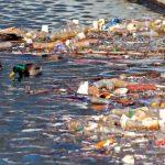 Water pollution: Lagos Assembly directs environment ministry, LASEPA to investigate