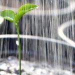 How to grow your ideas with little or no funding