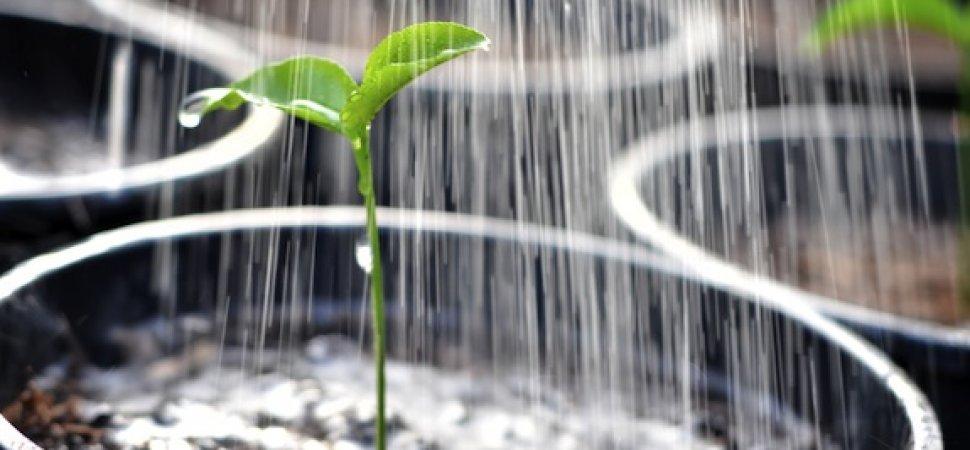 How to grow your ideas with little or no funding