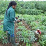 Kwara, AgroNigeria, others collaborate to host Farm2Fork Dialogue