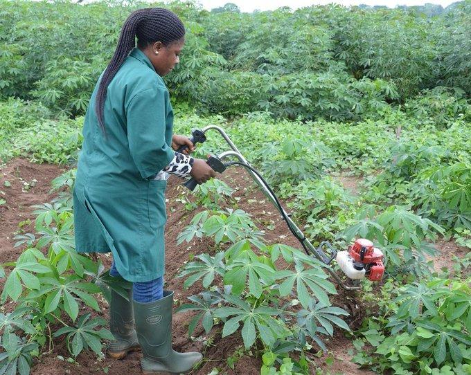 Kwara, AgroNigeria, others collaborate to host Farm2Fork Dialogue