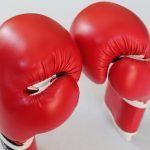 NBB of C lauds GOtv Boxing Night for staging WBF bout in Lagos