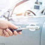 Cornerstone takes 3rd Party Insurance drive to parks