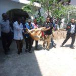 Lagos evacuates Lion from private residence in V/Island to Lekki Zoo