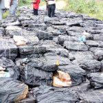 Importers of frozen food divert contraband consignment to Lagos airport