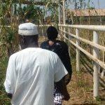 SADTS initiative will boost food security, says Argungu