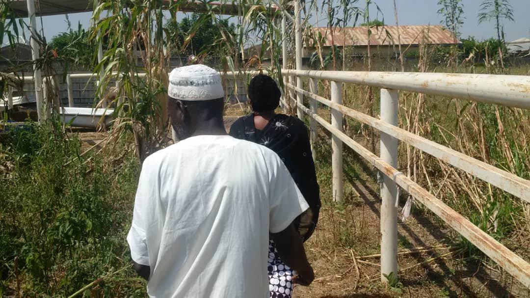 SADTS initiative will boost food security, says Argungu