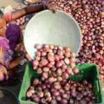 Soaring Indian onion prices raise risk of political fallout