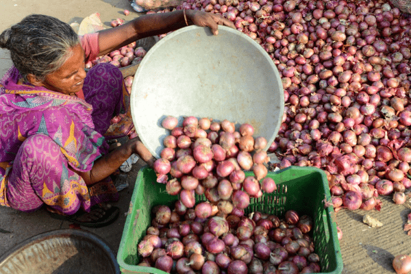 Soaring Indian onion prices raise risk of political fallout