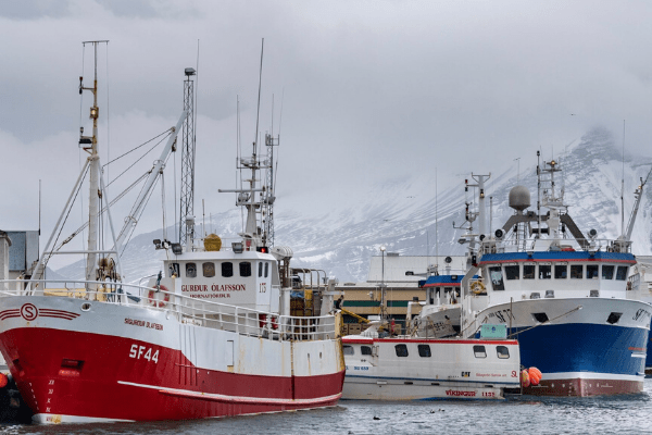 Two Namibian ministers resign in Icelandic fishing scandal