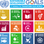 Nigerian youth’s call to government on achieving SDG goals