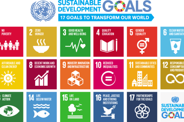 Nigerian youth’s call to government on achieving SDG goals