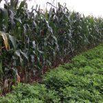 African ministers strategise on climate change adaptation